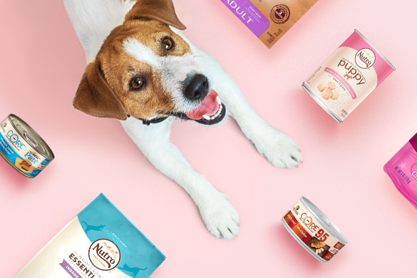 Dog & cat food from select brands on petcube.com, Image with Dog